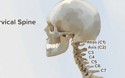 The Upper Cervical Chiropractic Handbook: Patient Edition
