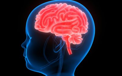Development and Chiropractic