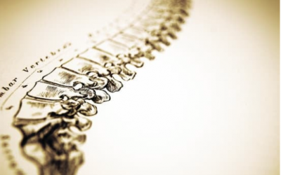 How the Upper Cervical Spine Impacts Your Brainstem