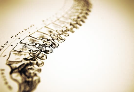 How the Upper Cervical Spine Impacts Your Brainstem